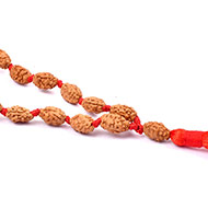 2 mukhi moon mala - 8 mm