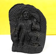 Vamana Shaligram Murti
