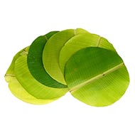 Banana leaves