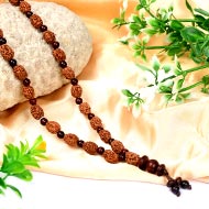 3 mukhi Mahajwala mala with Red Sandalwood beads