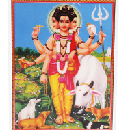 Lord Dattatreya Glittering Photo