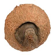 Ekakshi Nariyal (One eyed Coconut)