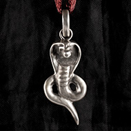 Snake Locket in Pure Silver