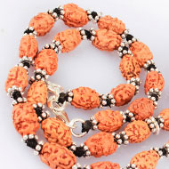 2 mukhi moon mala - Java in silver chakri