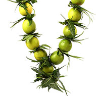 Lemon Garland