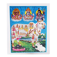 Gomatha Glittering Photo
