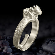Nandi ring with Shiv Mantra