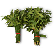 Neem Leaves