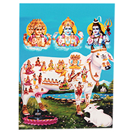 Gomatha Photo - Medium