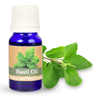 Basil Oil