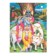 Lord Shri Krishna Photo - Large
