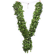 Tulsi Garland
