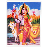 Ardhnarishvara Glittering Photo