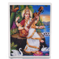 Maa Saraswati Glittering Photo