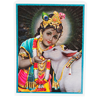 Bal Krishna Glittering Photo