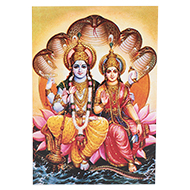 Vishnu Laxmi Photo - Medium