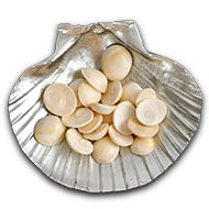 Gomati chakra - Set of 21