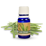 Ginger Grass Oil