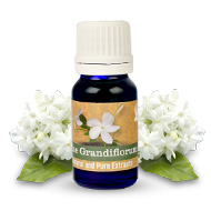 Jasmine Grandiflorum oil