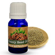 Celery (Ajwain) Seed Oil