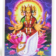 Goddess Gayatri Glittering Photo