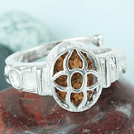 15 Mukhi Rudra Ring