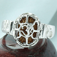14 Mukhi Rudra Ring