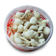 Oiled Cotton Wicks