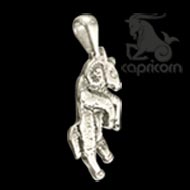 Capricorn Locket 