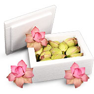 Lotus Flower - Kamal
