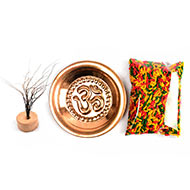 Rare Sanjeevani Grass