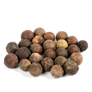 Rudraksha Fruits