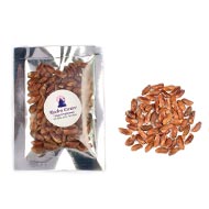 Rudraksha Seeds