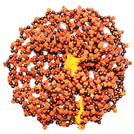 Rudraksha and Rose wood beads Meditation cap