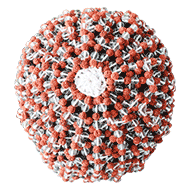 Rudraksha and Sphatik beads cap