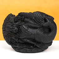 Matsya Shaligram Murti - III