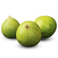 Bel Fruit