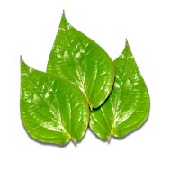 Betel Leaf - Pan