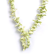 Fresh Aak Flower Garland
