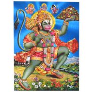Lord Hanuman Photo - Medium