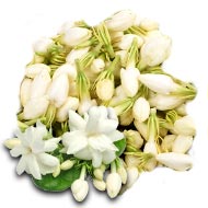 Mogra Flower