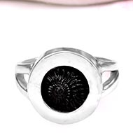 Shaligram Ring