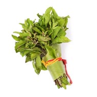 Tulsi Leaves