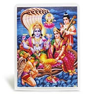 Vishnu Laxmi Glittering Photo - I