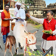 Gausat Daan - Donate 100 Cows