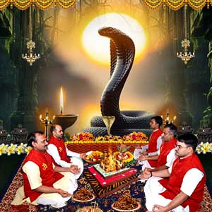 PY130-Nag-Panchami-Puja-Thumb
