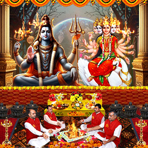 PY235-Puja-for-Restoration-of-Good-Health-and-Protection-from-Diseases-S1