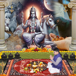 PY576-Feed-Pigeons-for-Blessings-of-Planet-Venus-Thumb