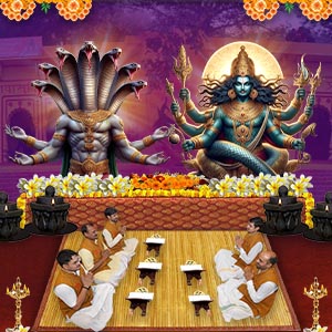 PY584-Kaal-Sarp-Dosh-Nivaran-Puja-at-Naag-Vasuki-Mandir-Prayagraj-Thumb