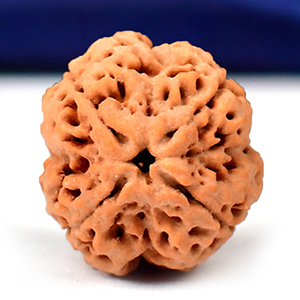 CBN04-S1